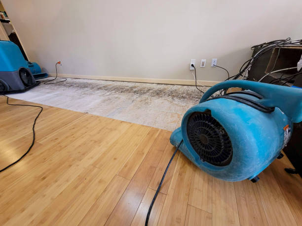 Professional Flood Damage Cleanup technician working in Culver, IN